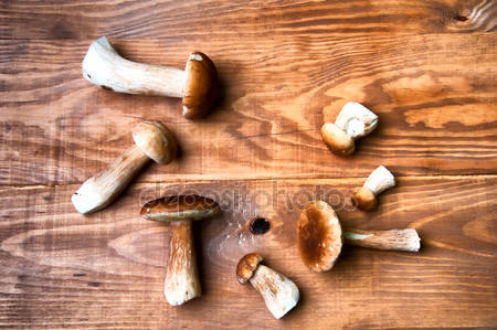 ceps or Boletus Edulis or Cèpes wild mushrooms